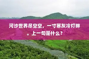 河沙世界尽空空，一寸寒灰冷灯畔。上一句是什么？