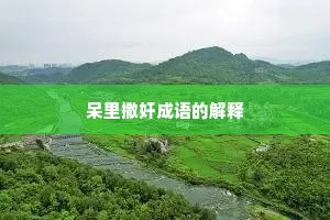 呆里撒奸成语的解释