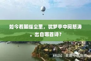 如今着脚缁尘里，犹梦亭中阅怒涛。出自哪首诗？