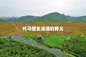 代马望北成语的释义