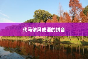 代马依风成语的拼音