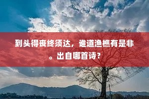 到头得丧终须达，谁道渔樵有是非。出自哪首诗？
