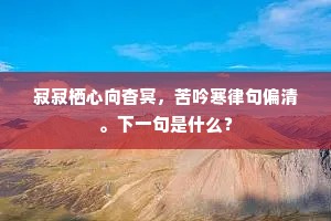 寂寂栖心向杳冥，苦吟寒律句偏清。下一句是什么？