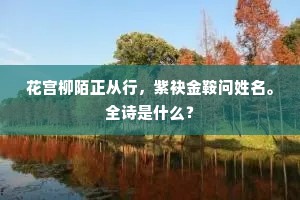 花宫柳陌正从行，紫袂金鞍问姓名。全诗是什么？