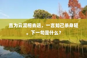 直为云泥相去远，一言知己杀身轻。下一句是什么？