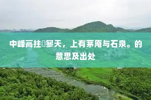 中峰高拄泬寥天，上有茅庵与石泉。的意思及出处