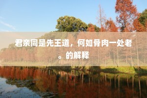 君亲同是先王道，何如骨肉一处老。的解释