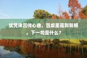 犹凭律吕传心曲，岂虑星霜到鬓根。下一句是什么？
