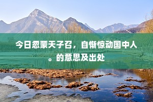 今日忽蒙天子召，自惭惊动国中人。的意思及出处