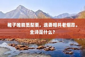 稚子唯能觅梨栗，逸妻相共老烟霞。全诗是什么？