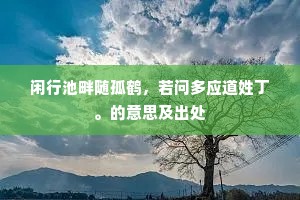 闲行池畔随孤鹤，若问多应道姓丁。的意思及出处
