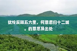 犹怜反顾五六里，何意忽归十二城。的意思及出处