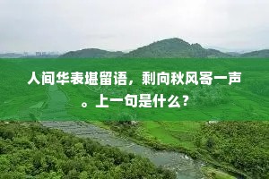 人间华表堪留语，剩向秋风寄一声。上一句是什么？