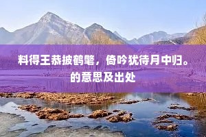 料得王恭披鹤氅，倚吟犹待月中归。的意思及出处