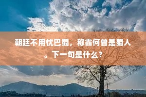 朝廷不用忧巴蜀，称霸何曾是蜀人。下一句是什么？