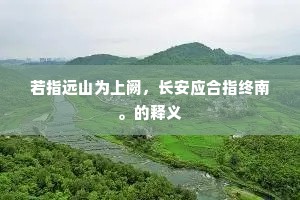 若指远山为上阙，长安应合指终南。的释义