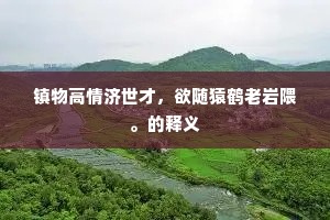 镇物高情济世才，欲随猿鹤老岩隈。的释义