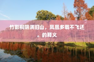 竹影桐阴满旧山，凤凰多载不飞还。的释义