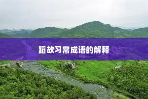 蹈故习常成语的解释