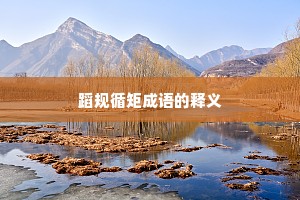蹈规循矩成语的释义