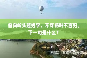 曾向岭头题姓字，不穿杨叶不言归。下一句是什么？