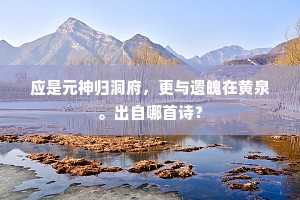 应是元神归洞府，更与遗魄在黄泉。出自哪首诗？