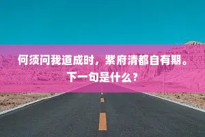 何须问我道成时，紫府清都自有期。下一句是什么？