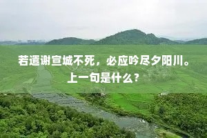 若遣谢宣城不死，必应吟尽夕阳川。上一句是什么？
