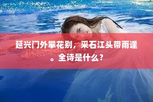 延兴门外攀花别，采石江头带雨逢。全诗是什么？
