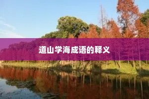 道山学海成语的释义