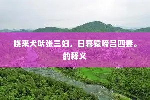晓来犬吠张三妇，日暮猿啼吕四妻。的释义