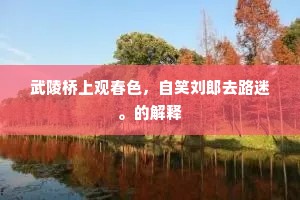 武陵桥上观春色，自笑刘郎去路迷。的解释