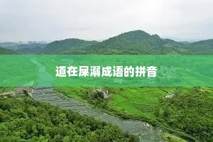 道在屎溺成语的拼音