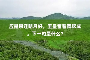应是易迁明月好，玉皇留看舞双成。下一句是什么？