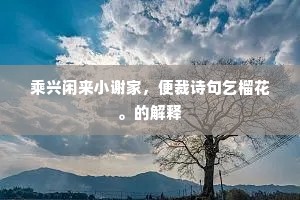乘兴闲来小谢家，便裁诗句乞榴花。的解释