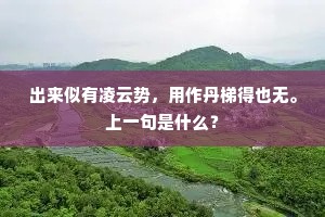 出来似有凌云势，用作丹梯得也无。上一句是什么？