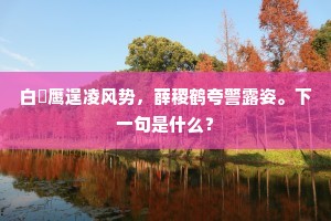 白旻鹰逞凌风势，薛稷鹤夸警露姿。下一句是什么？