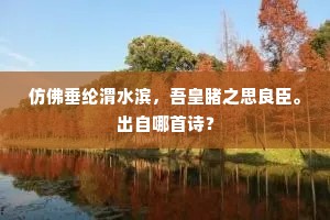 仿佛垂纶渭水滨，吾皇睹之思良臣。出自哪首诗？