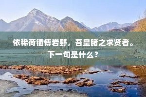 依稀荷锸傅岩野，吾皇睹之求贤者。下一句是什么？