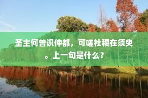 圣主何曾识仲都，可嗟社稷在须臾。上一句是什么？