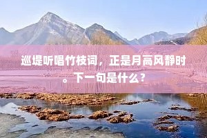 巡堤听唱竹枝词，正是月高风静时。下一句是什么？