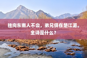 独向东南人不会，弟兄俱在楚江湄。全诗是什么？