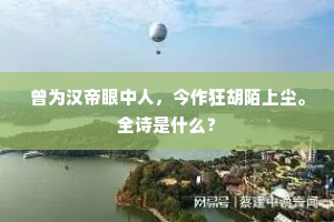 曾为汉帝眼中人，今作狂胡陌上尘。全诗是什么？