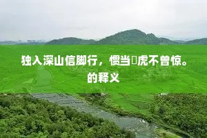 独入深山信脚行，惯当貙虎不曾惊。的释义