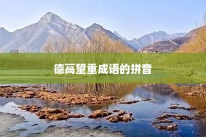 德高望重成语的拼音