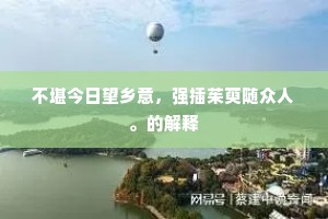 不堪今日望乡意，强插茱萸随众人。的解释