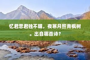 忆君思君独不眠，夜寒月照青枫树。出自哪首诗？