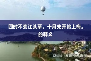 四时不变江头草，十月先开岭上梅。的释义