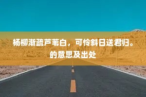 杨柳渐疏芦苇白，可怜斜日送君归。的意思及出处