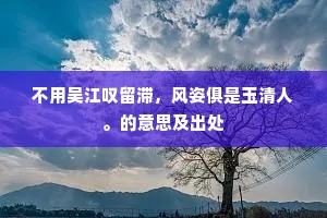 不用吴江叹留滞，风姿俱是玉清人。的意思及出处